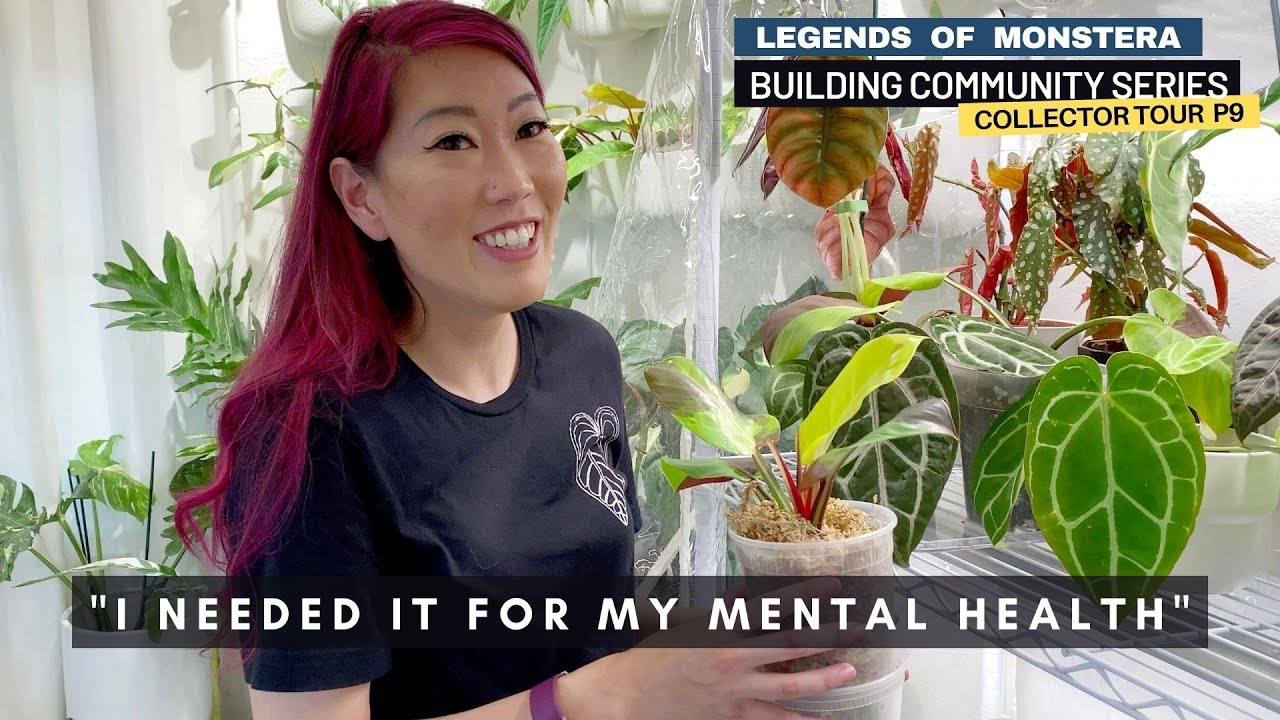 P9. Pros and Cons of Houseplants for Mental Health | Collector Plant Tour | Building Community