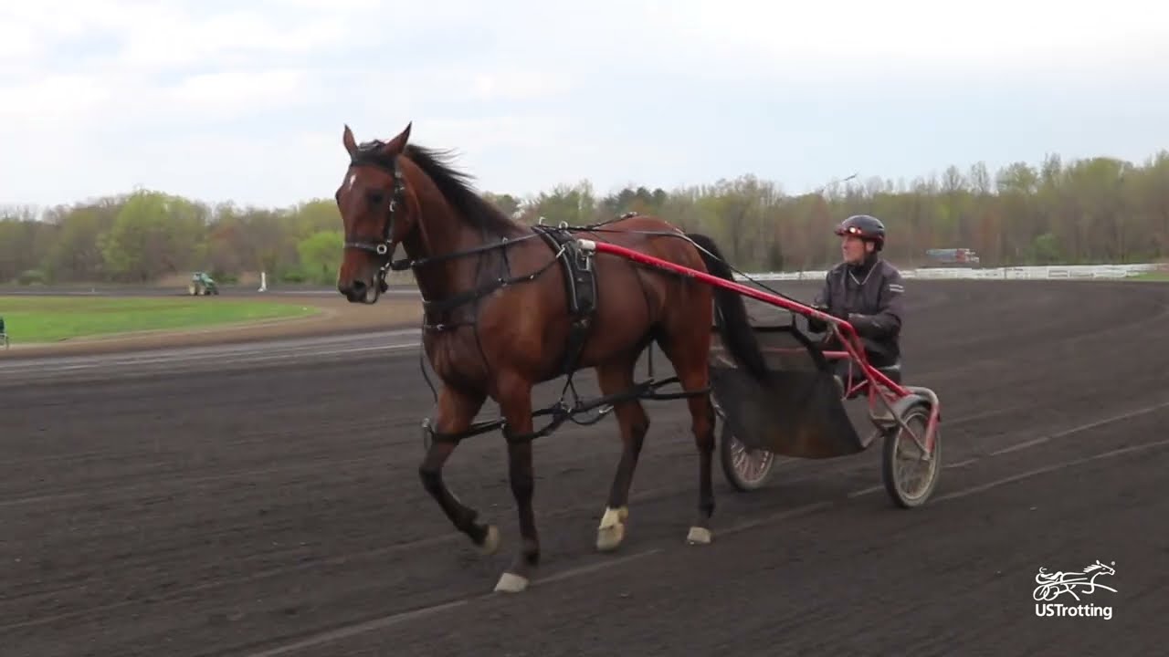 2021 USTrotting -- 3 year old Filly Pacers