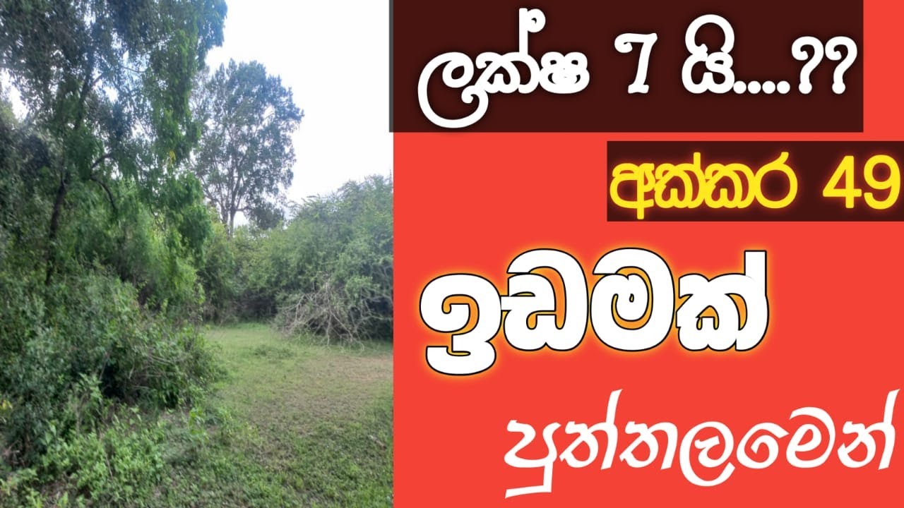 LAND FOR SALE IN PUTTALAM |ADUWATA IDAM