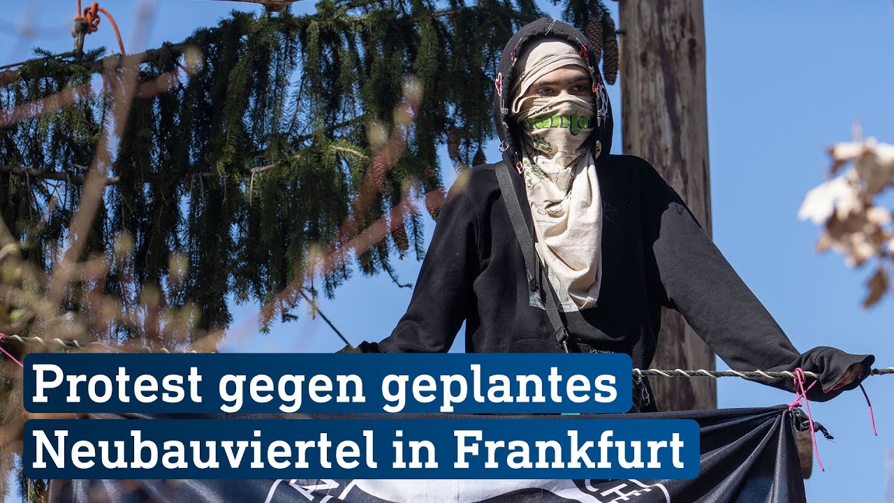 Aktivisten besetzen Baumhäuser in Frankfurt | hessenschau