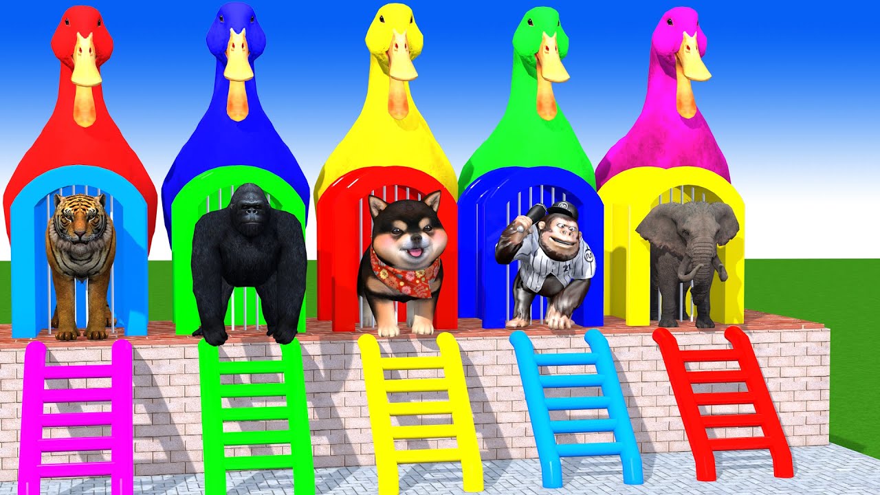 Long Slide Game With Cow Elephant Gorilla Hippopotamus Tiger 3d Animal Game Funny 3d Animals