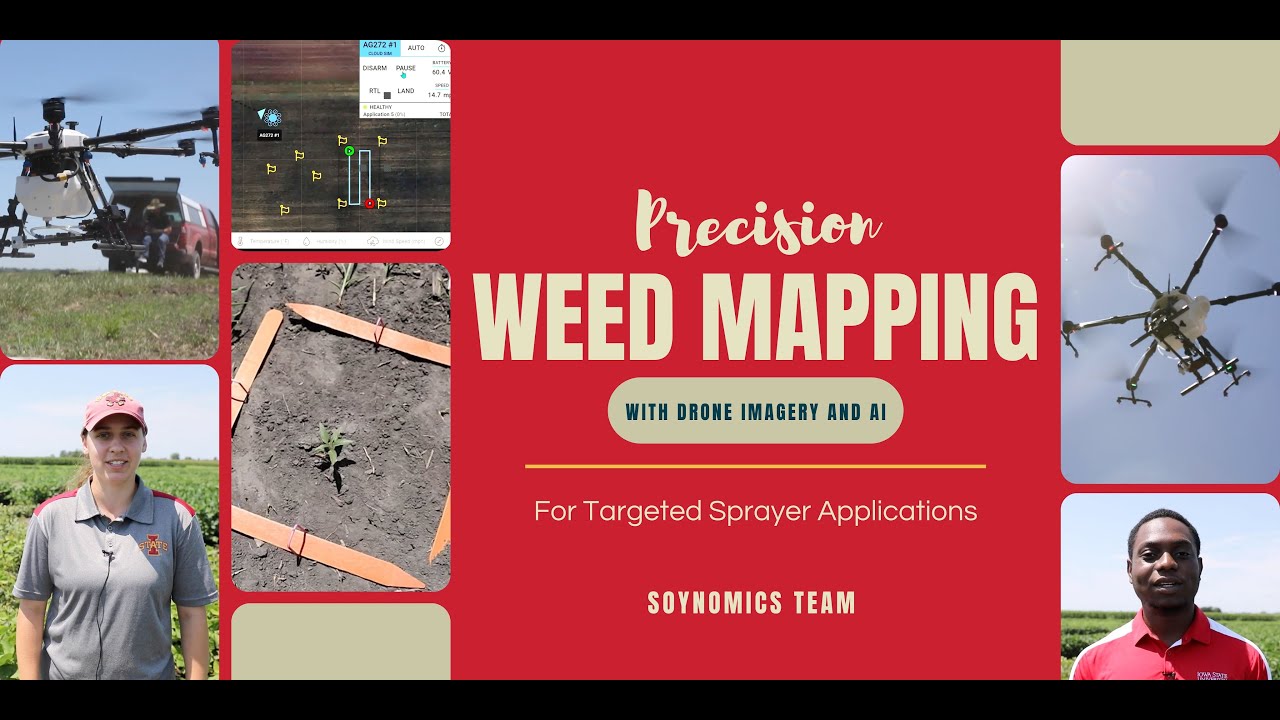 Precision Weed Mapping with Drone Imagery and AI for Targeted Sprayer Applications | Soynomics Team