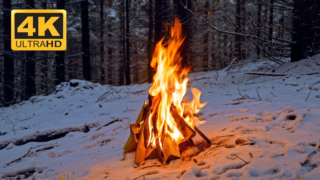 4K 🔥 Campfire in Snowy Forest ❄️🌲 10 Hours of Real Fire for Deep Sleep