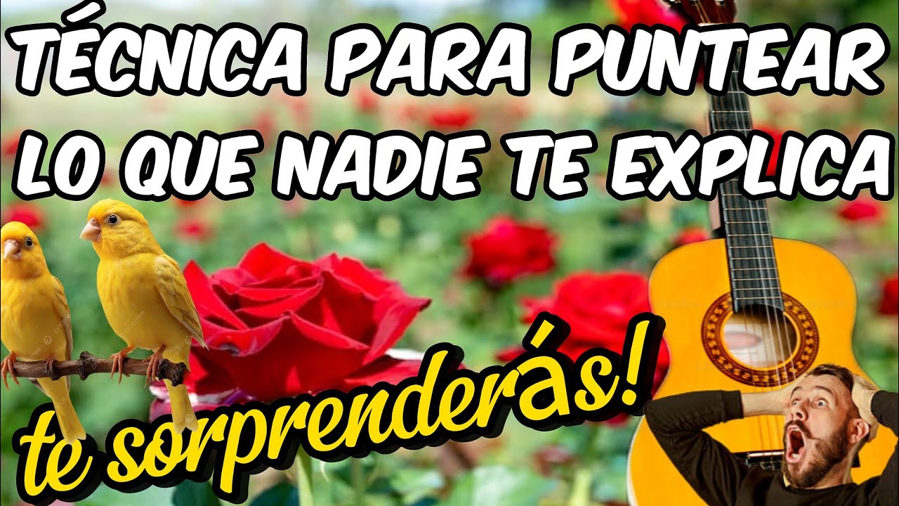TRUCO SECRETO 🎸 | Punteo f&aacute;cil para principiantes