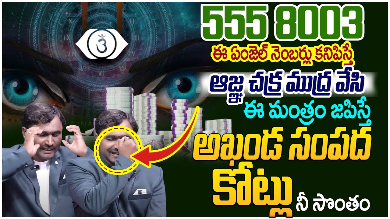 Most Powerful Angel Numbers|Significance Of Angel Number 555 , 8003|Money Attraction | Vishwam Vijay