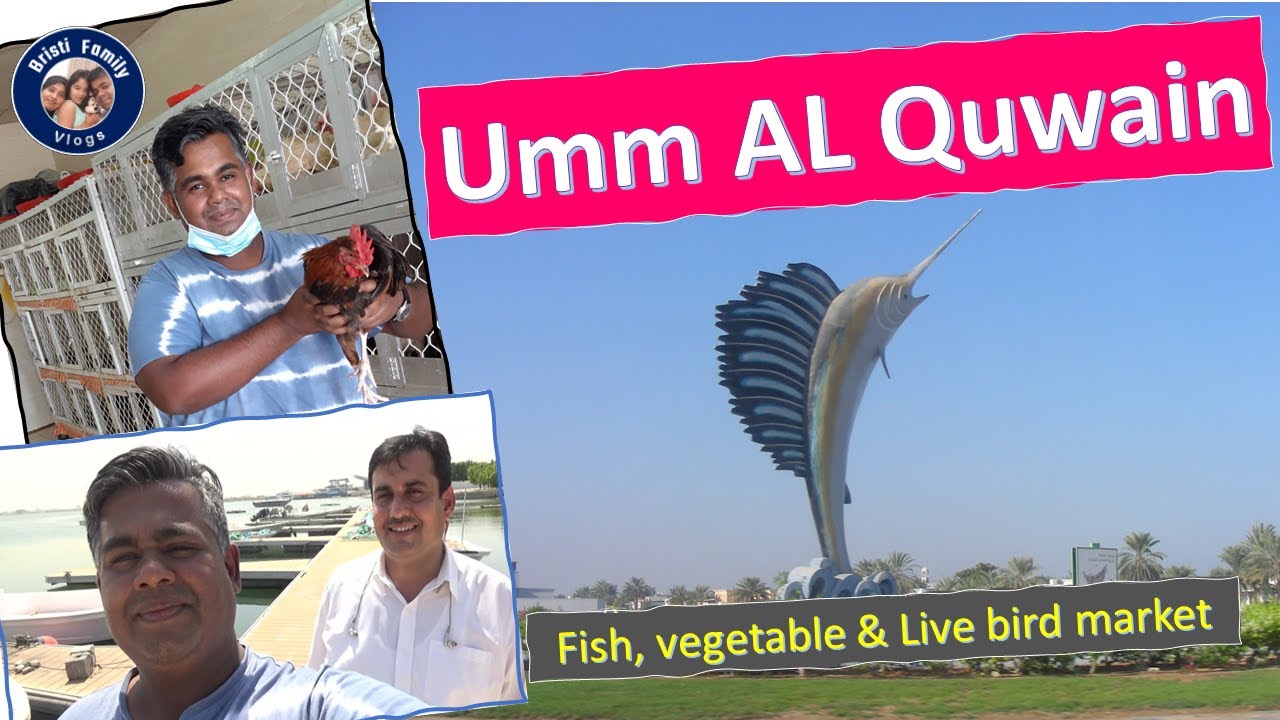 উম্মাল কুওয়েন । Trip to Umm Al Quwain । Fish, vegetable and live bird market