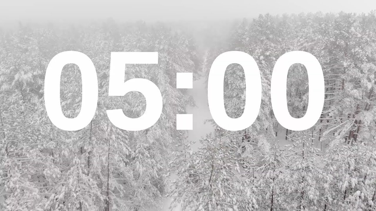 ❄🎄 5 Minute Timer Relaxing Music Lofi Snowy Forest Background ❄🎄