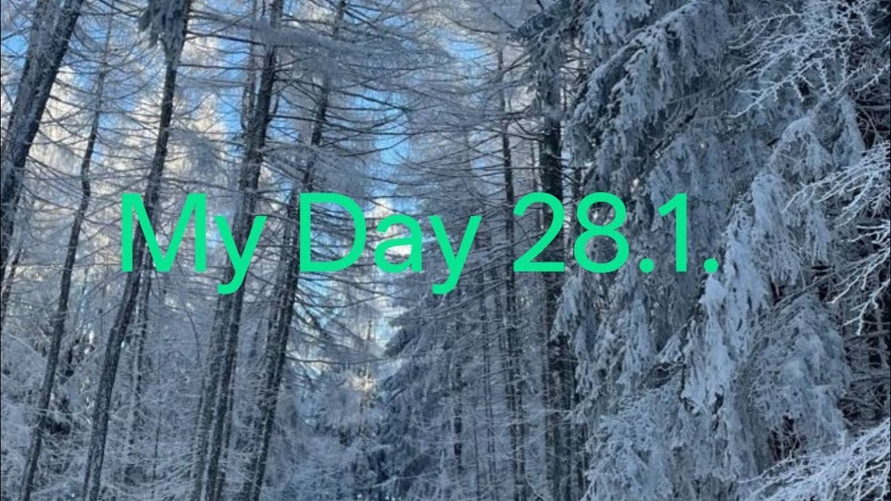 My Day 28.1.