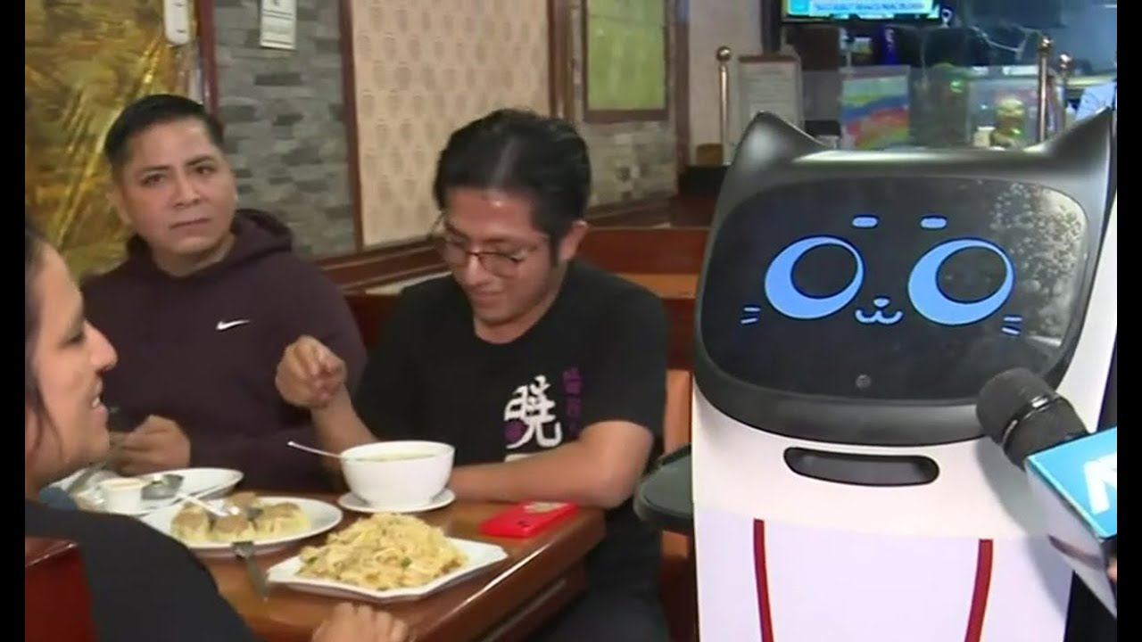 Los Olivos: ¿Mozos con las horas contadas? Robot gato es mesero en chifa