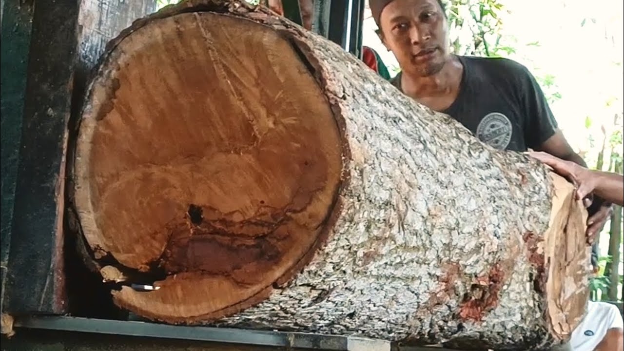 BEAUTIFUL PERFECT CIRCLE || sawing large diameter logs
