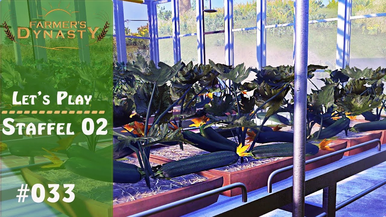 FARMERS DYNASTY [#33] Frische Zucchini aus dem Gewächshaus