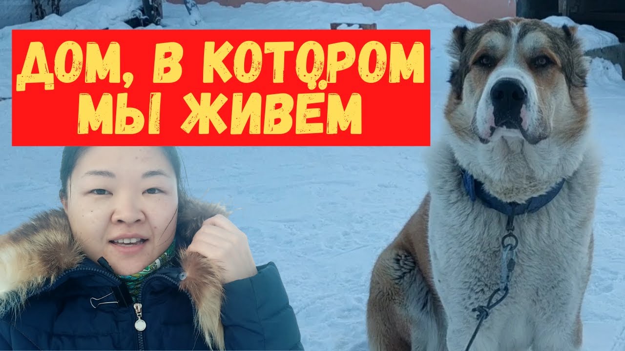 Дом, построенный своими руками за 4 месяца! Переезд в Сибирь. Красноярский край, город Заозёрный.