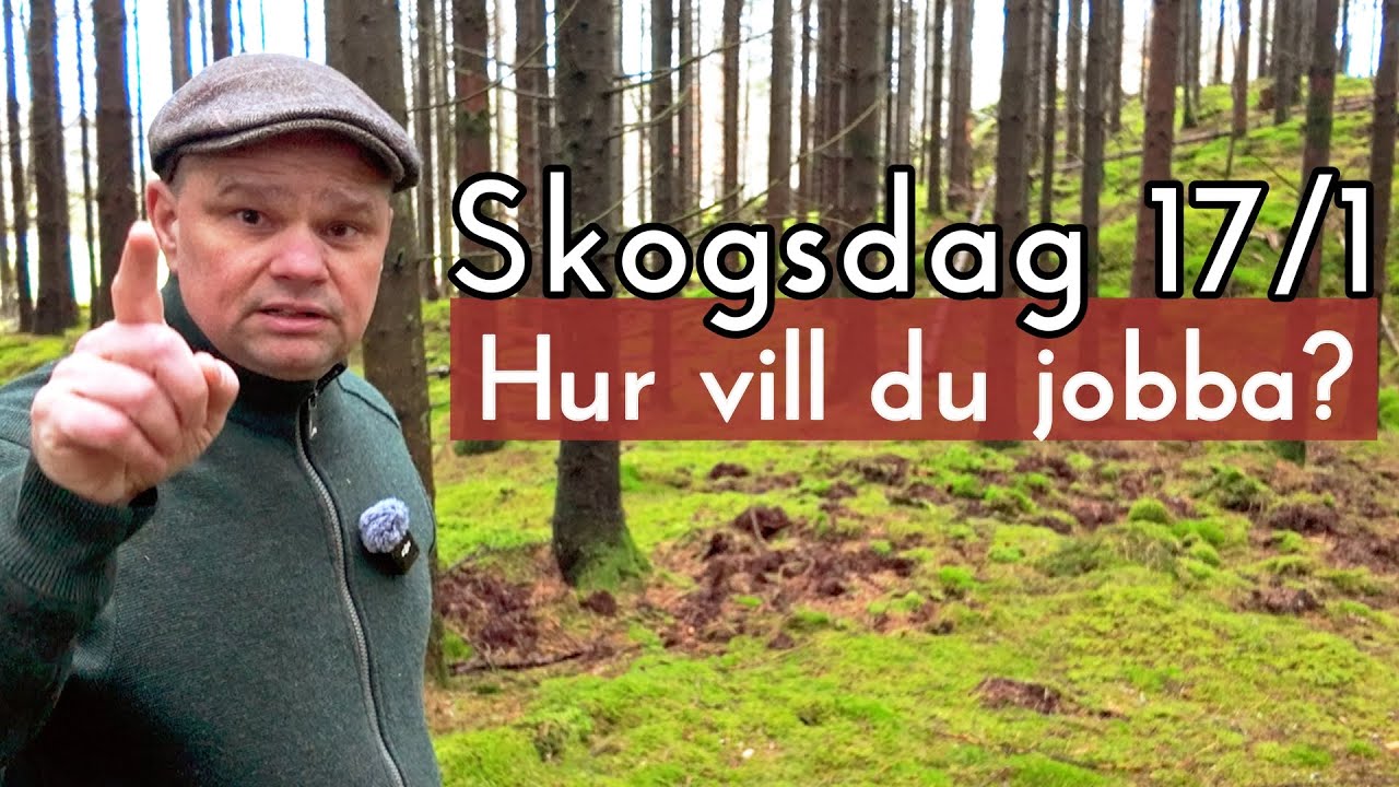 Skogsdagen i Sundhult 17 januari 2026