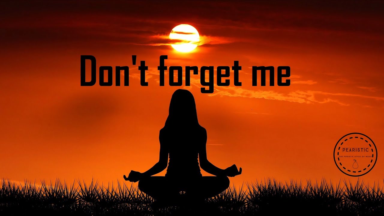 Don't Forget Me | Melodic Techno | Pearistic