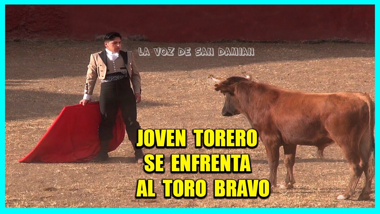 JOVEN TORERO se enfrenta al TORO BRAVO 👍