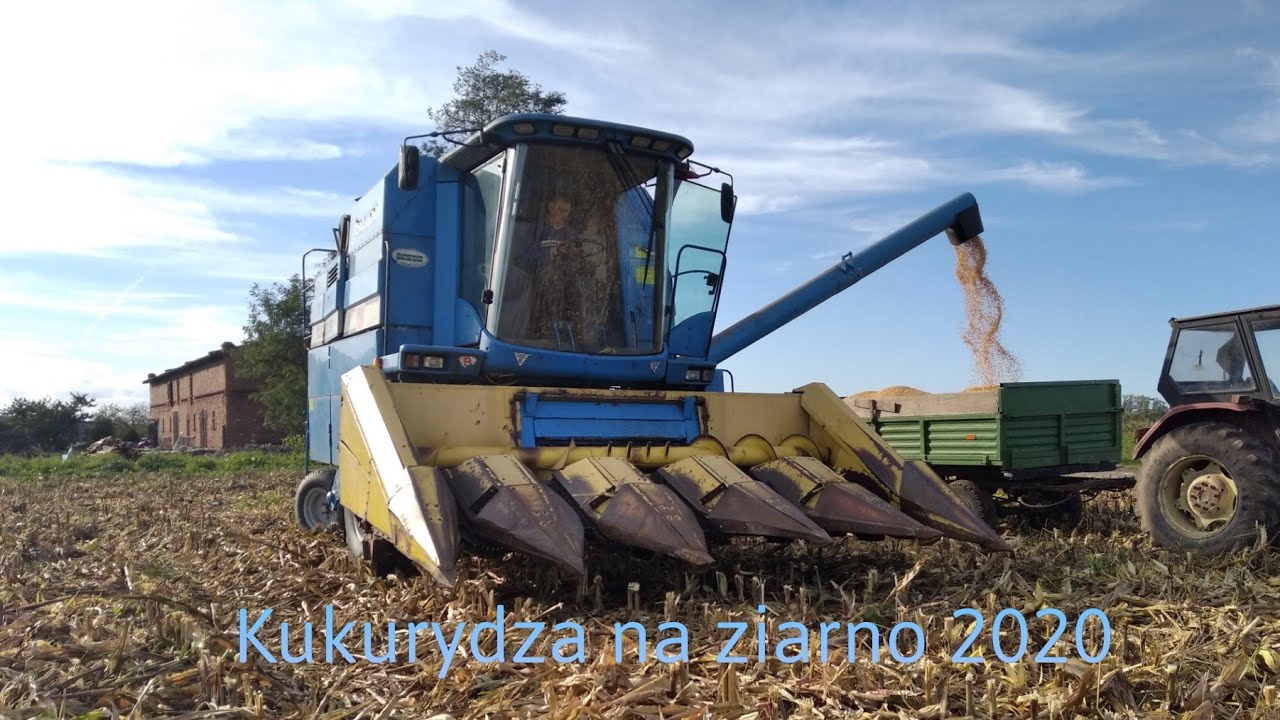 Kukurydza na ziarno 2020   Bizon dynamic z 115 turbo 3b