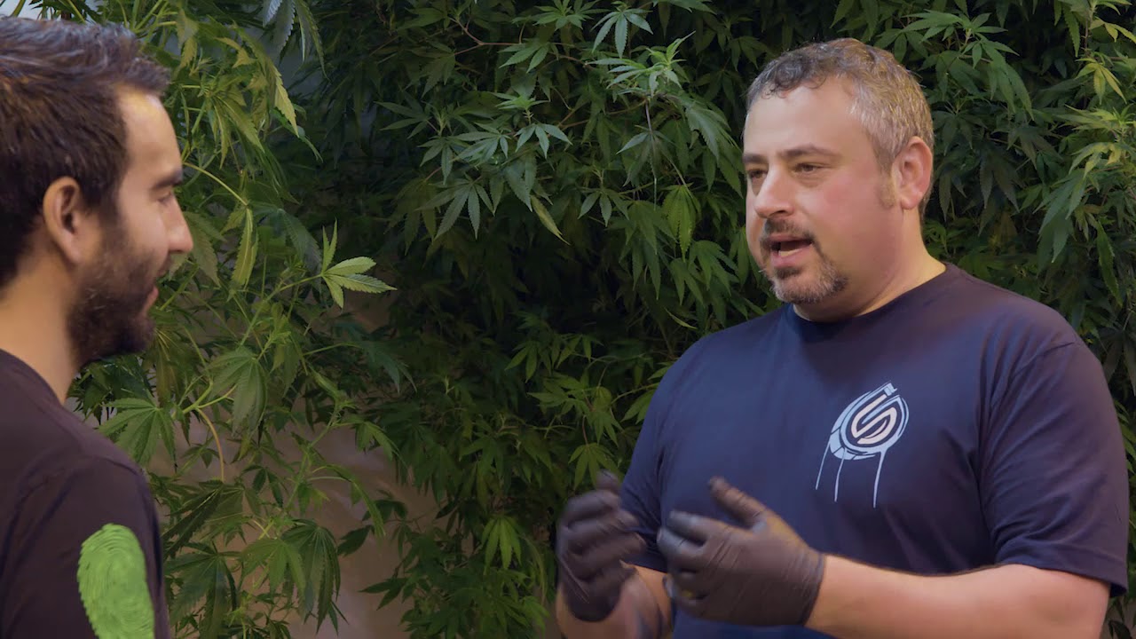 It Changed The Whole Game | CannaCribs Features Delta Leaf Client Grow Sciences (Arizona)