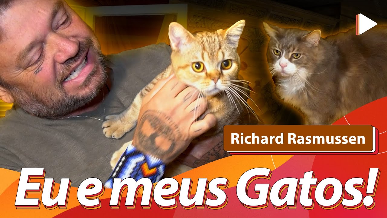 APRESENTANDO MEUS GATOS  @Richard Rasmussen