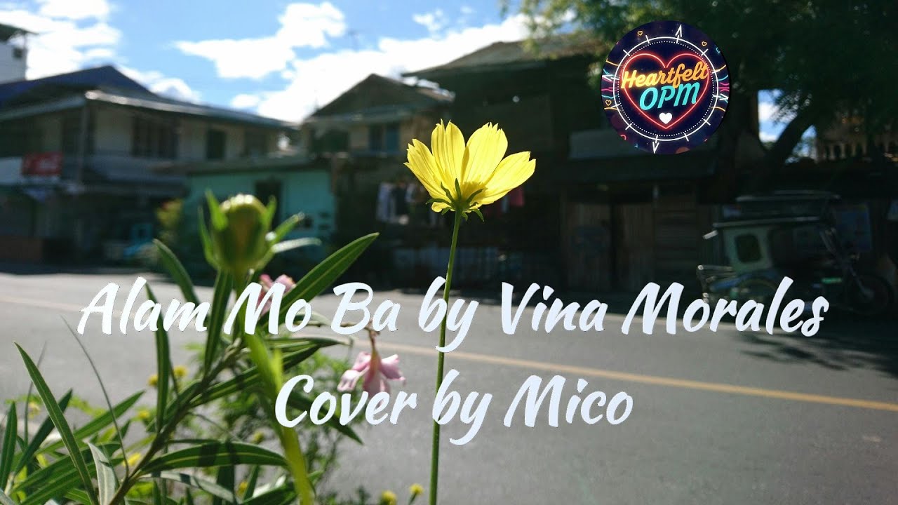 Alam Mo Ba, Vina Morales Cover by Mico