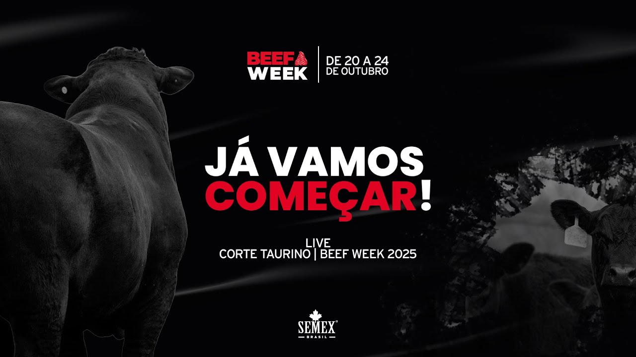 Beef Week 2025 - Corte Taurino