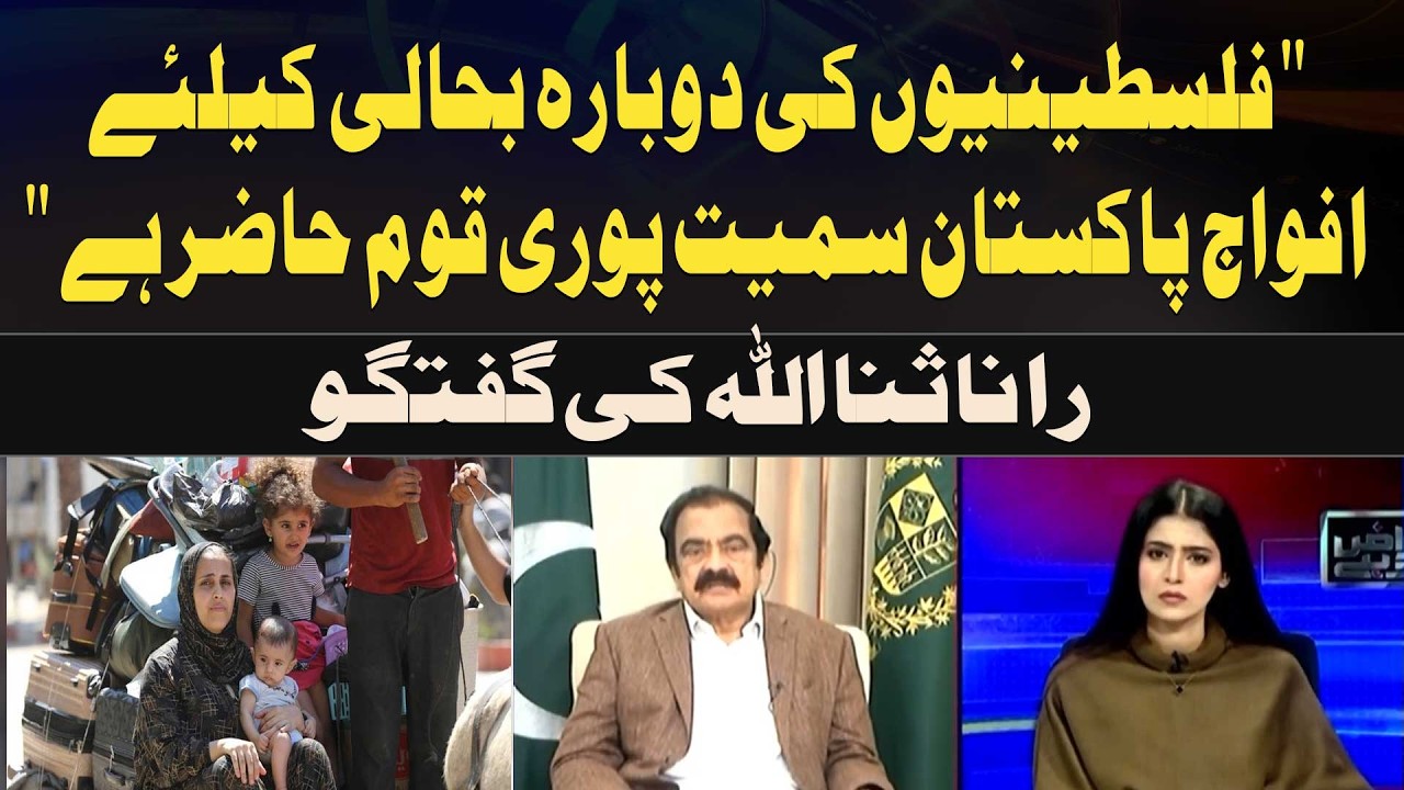 Nation united for Palestinian rehabilitation, Rana Sanaullah