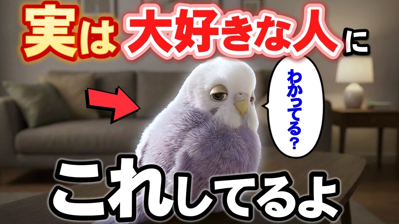 僕たちインコが大好きな人にしか見せない５つの健気な仕草