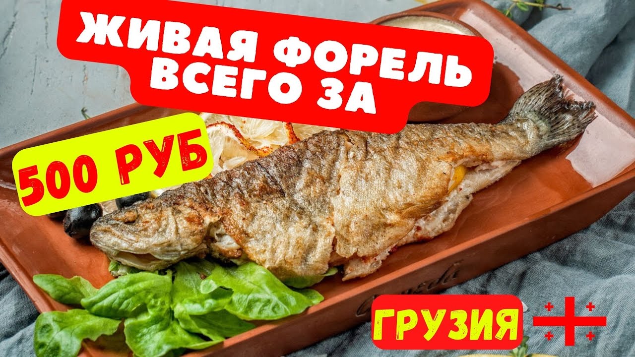 ФОРЕЛЬ В ГОРАХ Грузинское кафе Eagle в Квариати