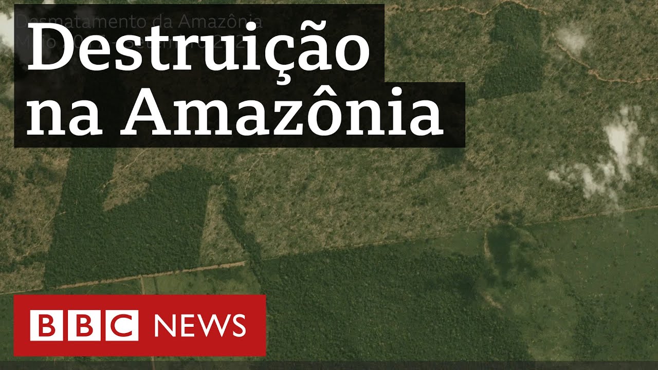 Imagens de satélite mostram desmatamento 'sistemático' na Amazônia