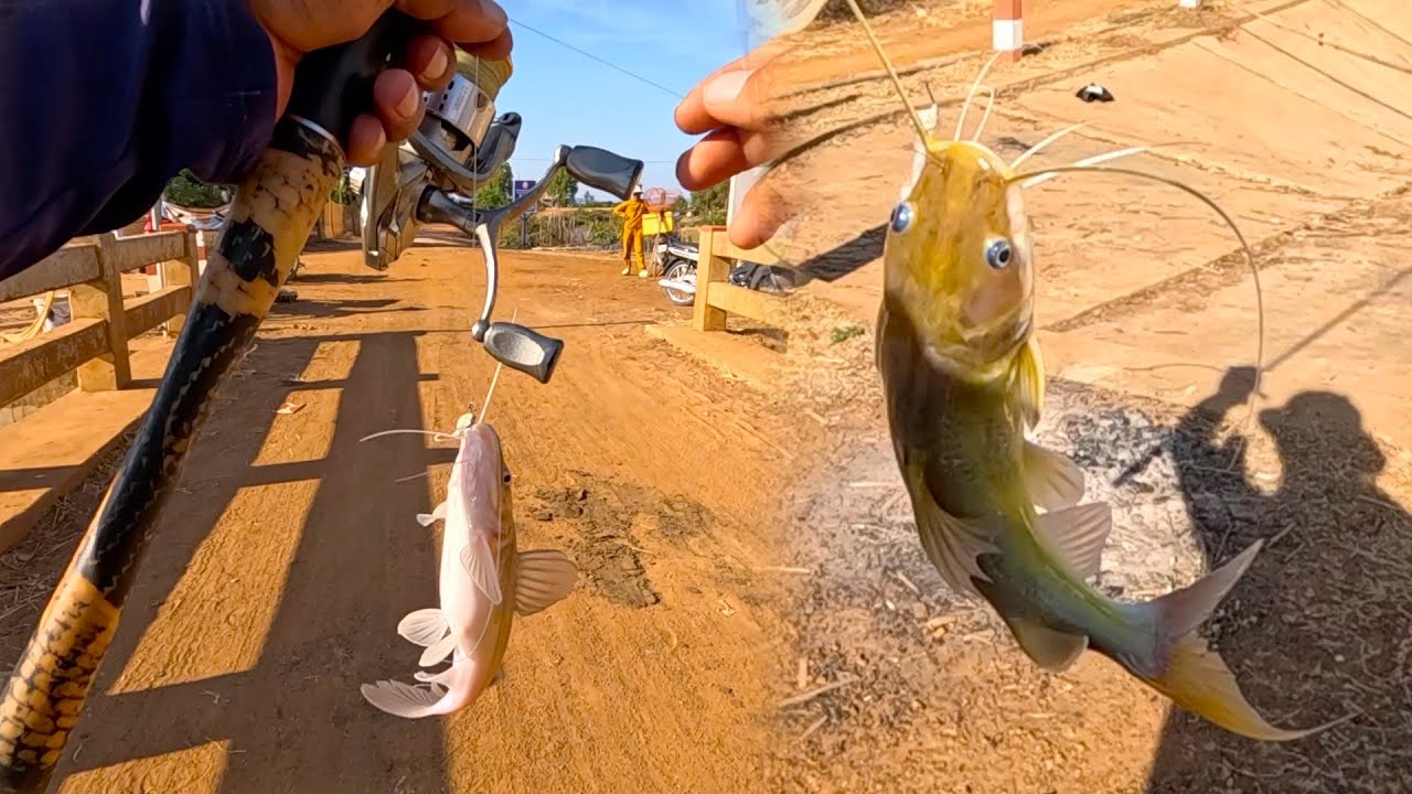 River Fishing | Catching Fish in Scenic Waters