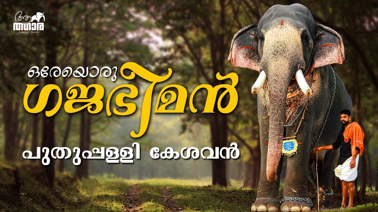 Kerala Elephant Puthuppally Kesavan പുതുപ്പള്ളി കേശവന്റെ മദപ്പാടിന് ശേഷമുള്ള ആദ്യപരിപാടികളിൽ ഒന്ന്