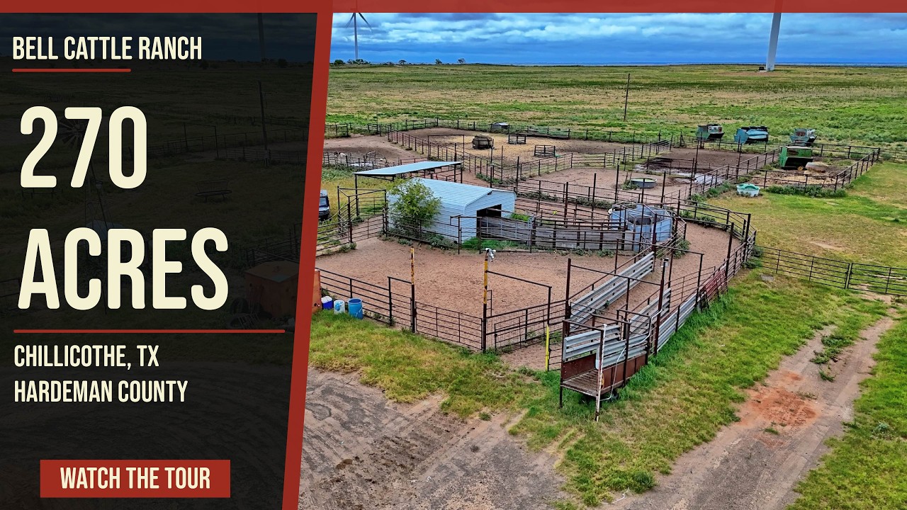 270 Acre Income Producing Ranch for Sale in Hardeman County TX | Bell Cattle Ranch