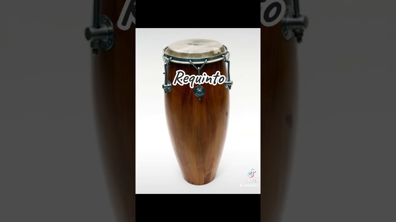 Types of Conga. 