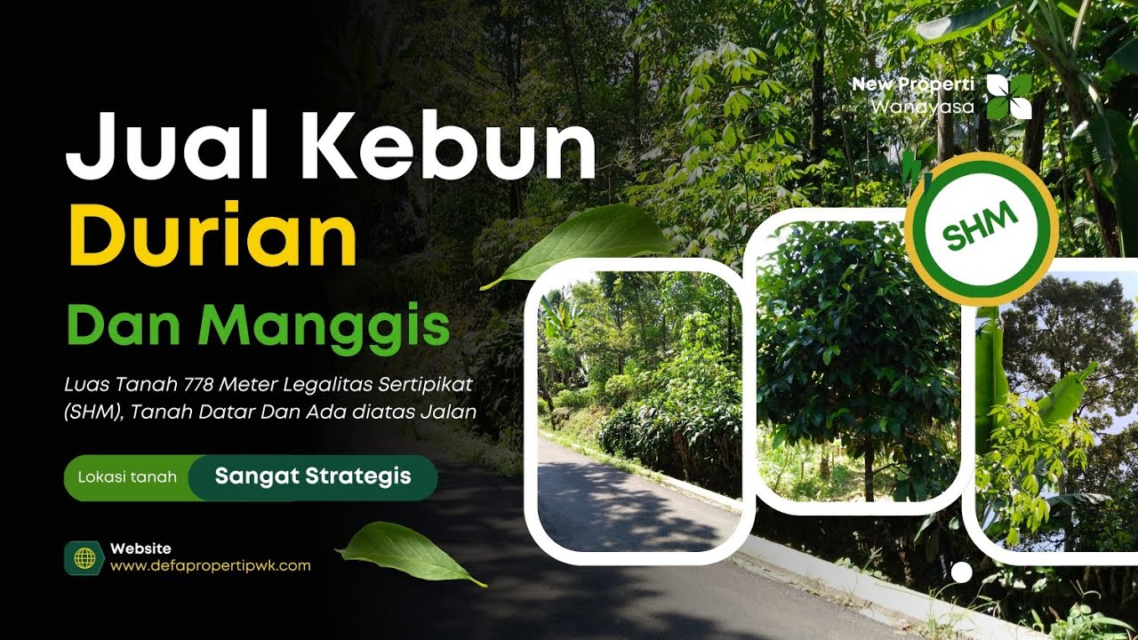 Jual Tanah Kebun Manggis Durian Pala Dan Cengkih. Lokasi Strategis Dekat Ke Jl. Raya