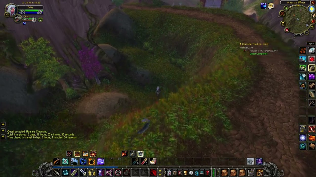Raene's Cleansing (WOW classic quest)