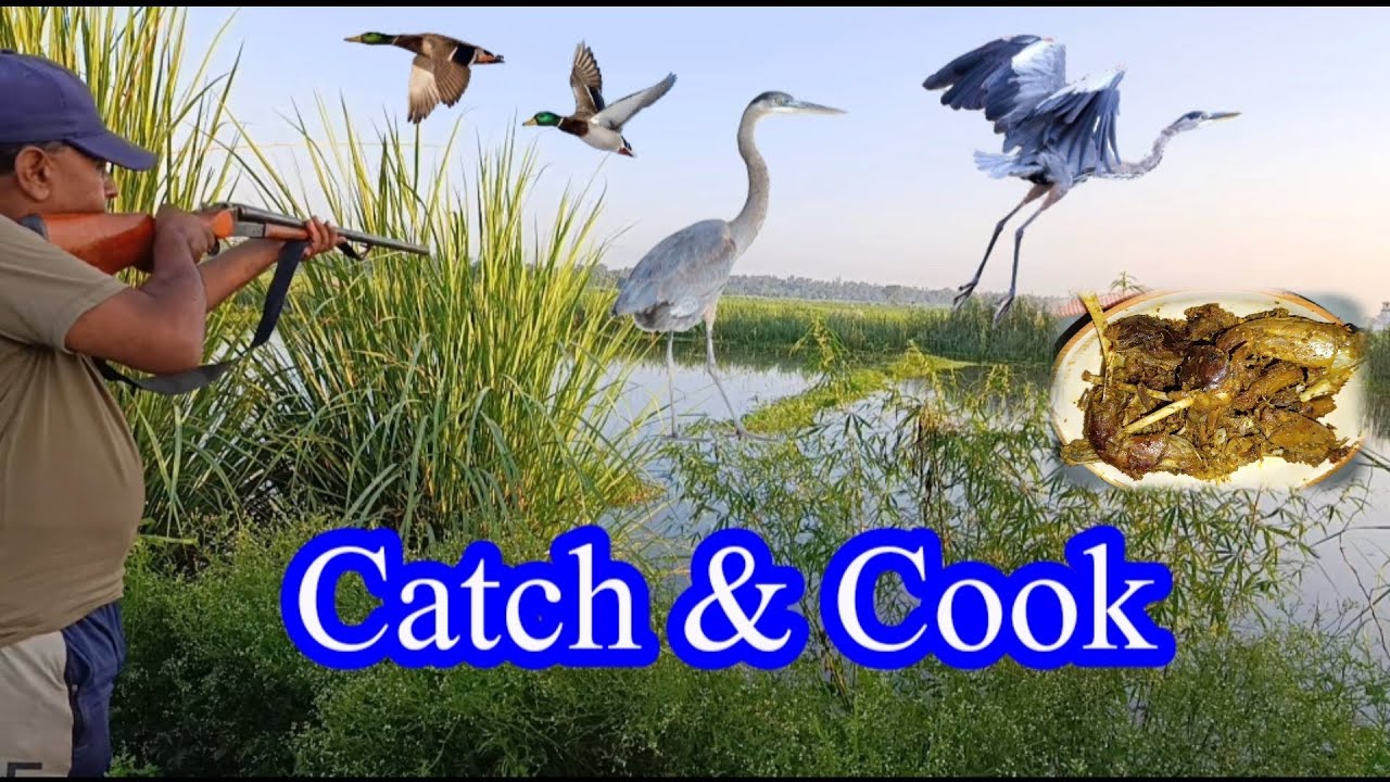Best Wild Birds Hunting and Cooking in Pakistan || Wild Birds Cooking || Village Cooking