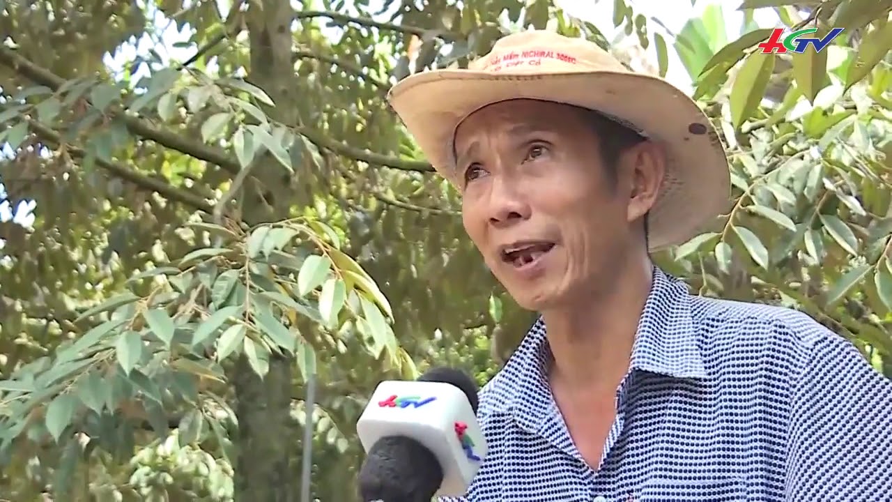 Cách ứng phó với hạn, mặn của bà con Bến Tre   KHUYẾN NÔNG HẬU GIANG   25 02 2020