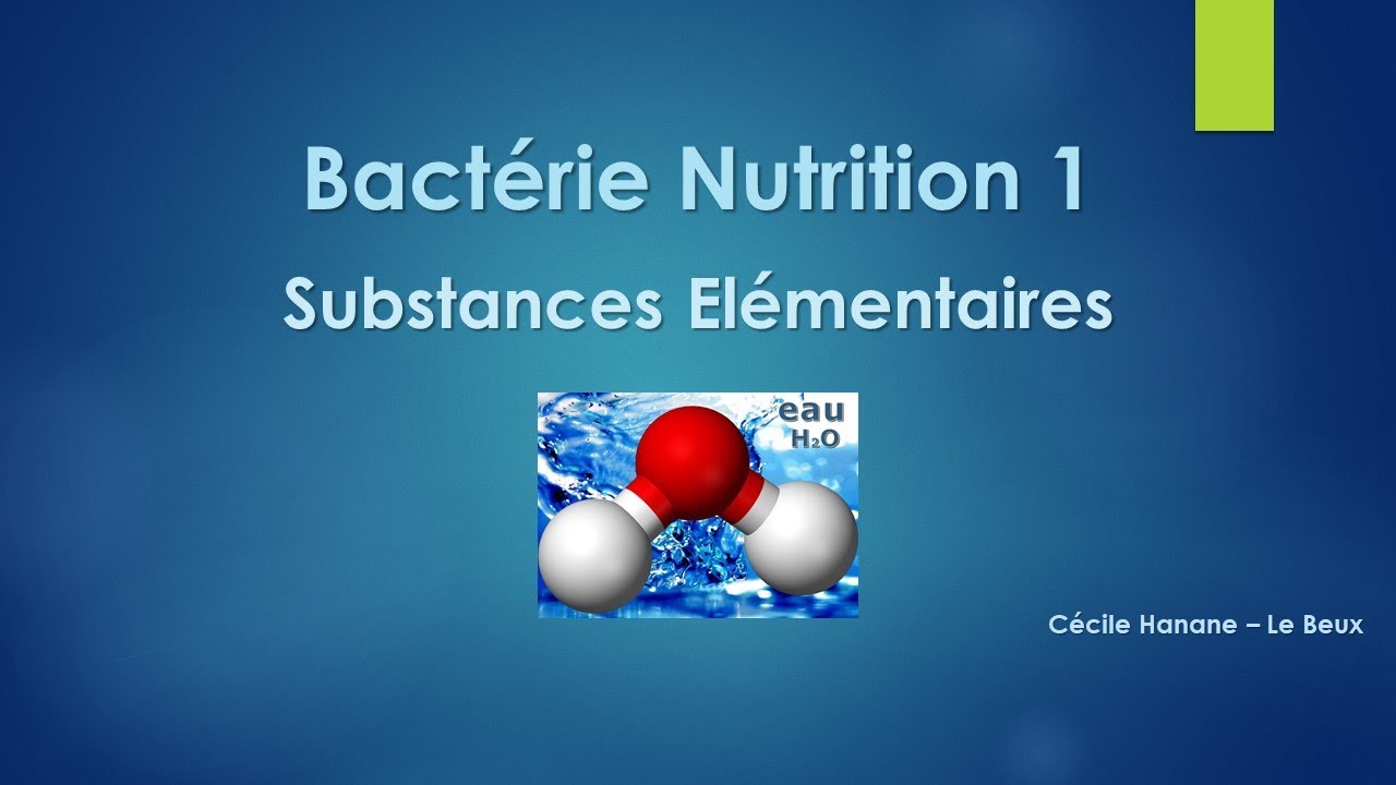 Bactérie Nutrition  1 SUBSTANCES ELEMENTAIRES / CONSTITUTIVES