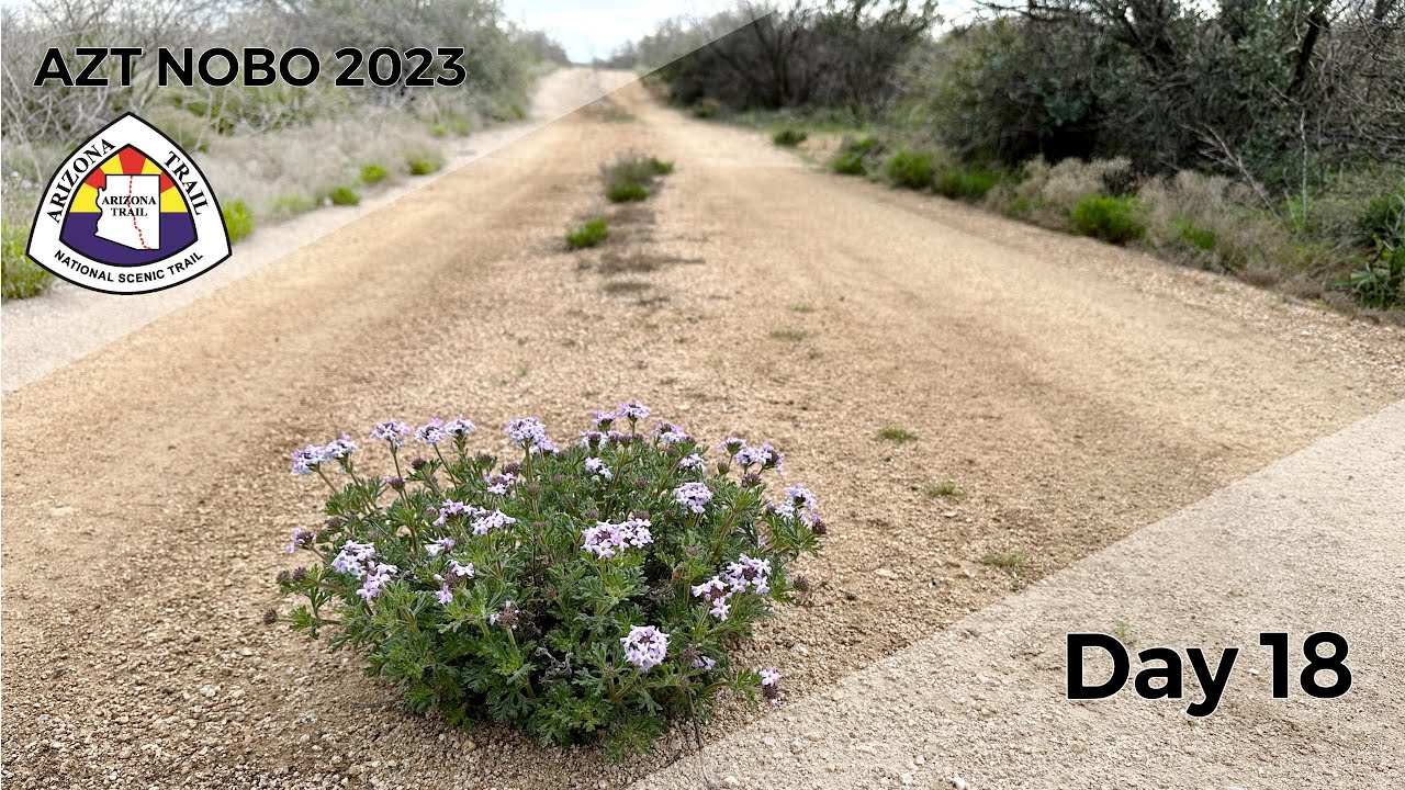 AZT NOBO 2023 | Day 18 | Rainy Miles to Friendly Kearny