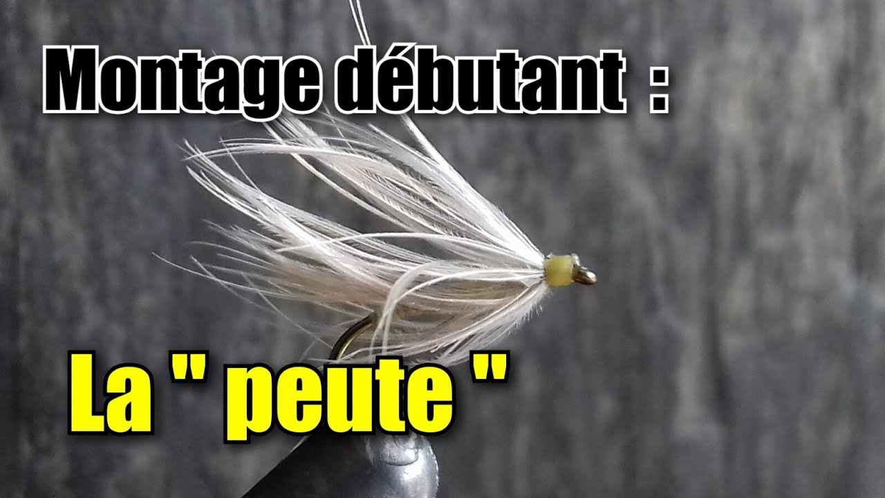 Montage débutant : la 
