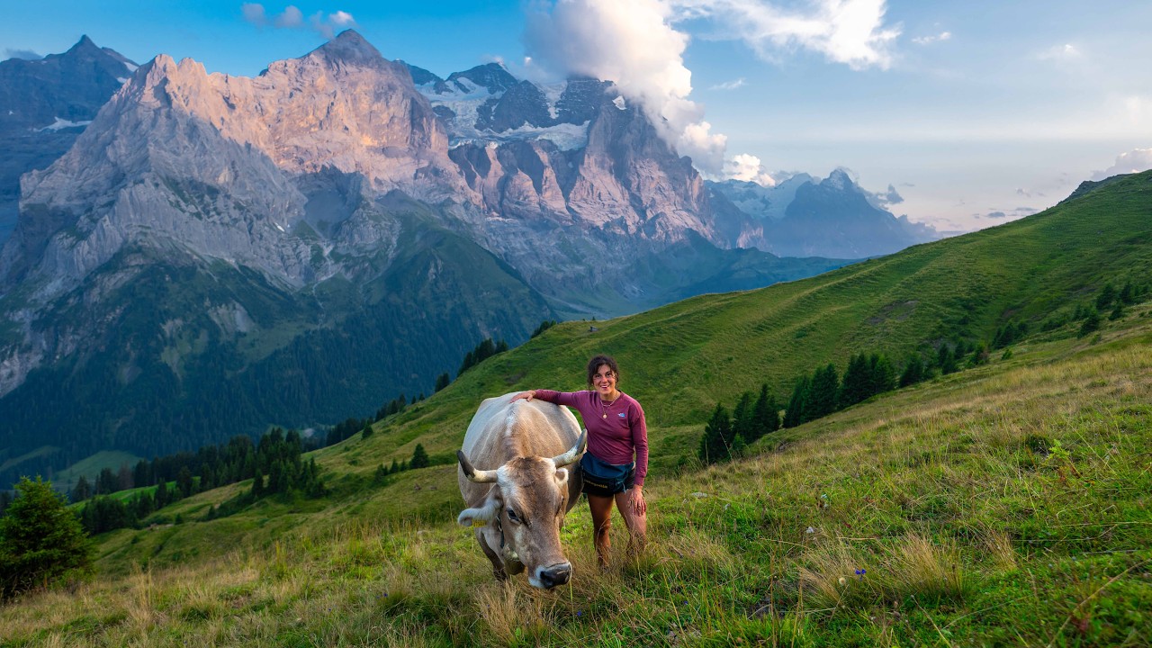 Alpine season in Switzerland - the simple life on the alp