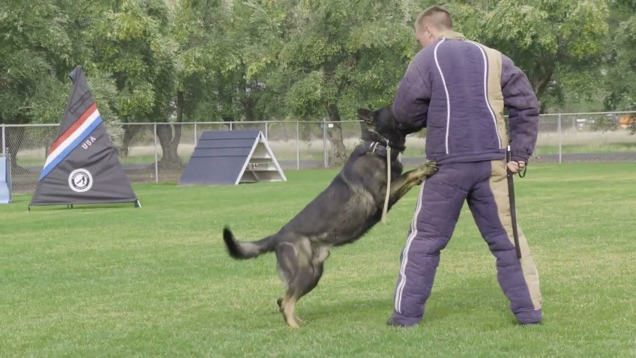 WDA PD1 protection