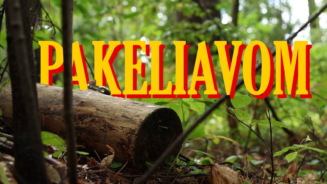PAKELIAVOM (2026)