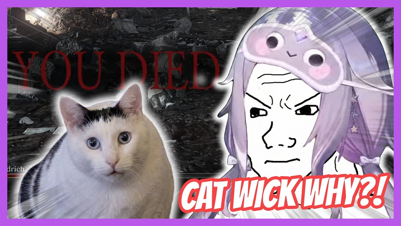 CAT WICK Interrupts BIBOO Mid Boss Fight 😂