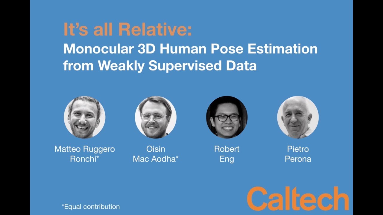 It's all Relative: Monocular 3D Human Pose Estimation from Weakly Supervised Data - BMVC 2018