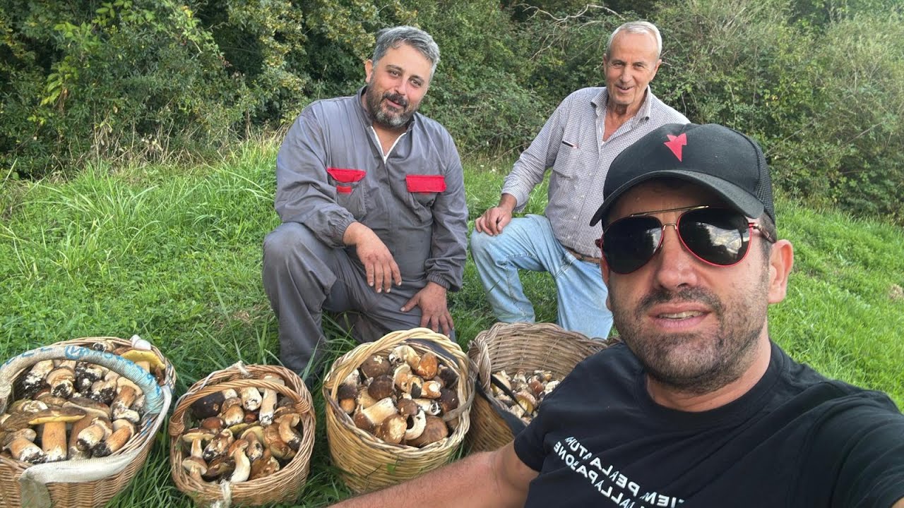 Incredibile “Alla ricerca dei porcini: dal bosco vuoto alla sorpresa!”@luca Corbara