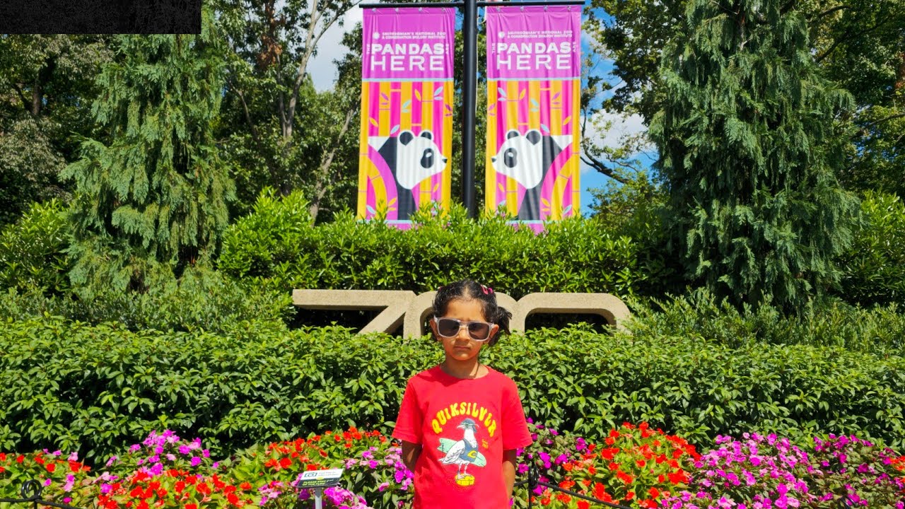 Smithsonian National Zoo tour - Washington DC | DC Zoo animals | DC Zoo Panda | Washington DC Zoo 