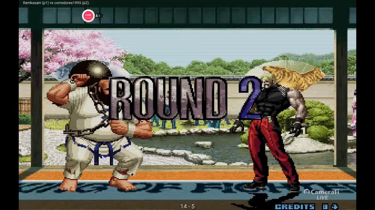 the king of fighters live