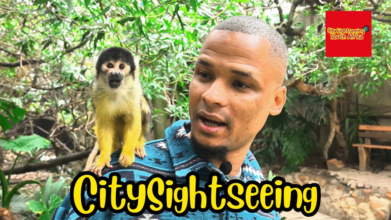 City Sightseeing Cape Town: Bus Tour, Birds & Food! Let's have some fun! 2/3