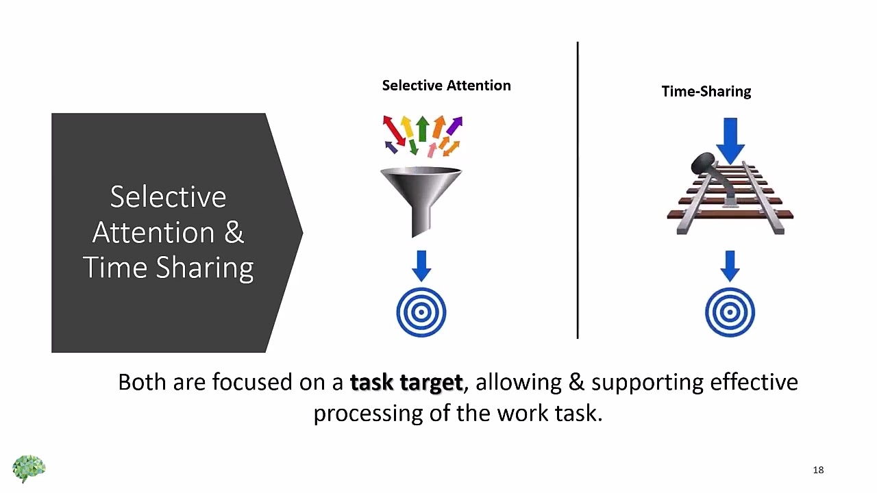 O*NET for Occupational Therapists 2. Selective Attention and Time Sharing