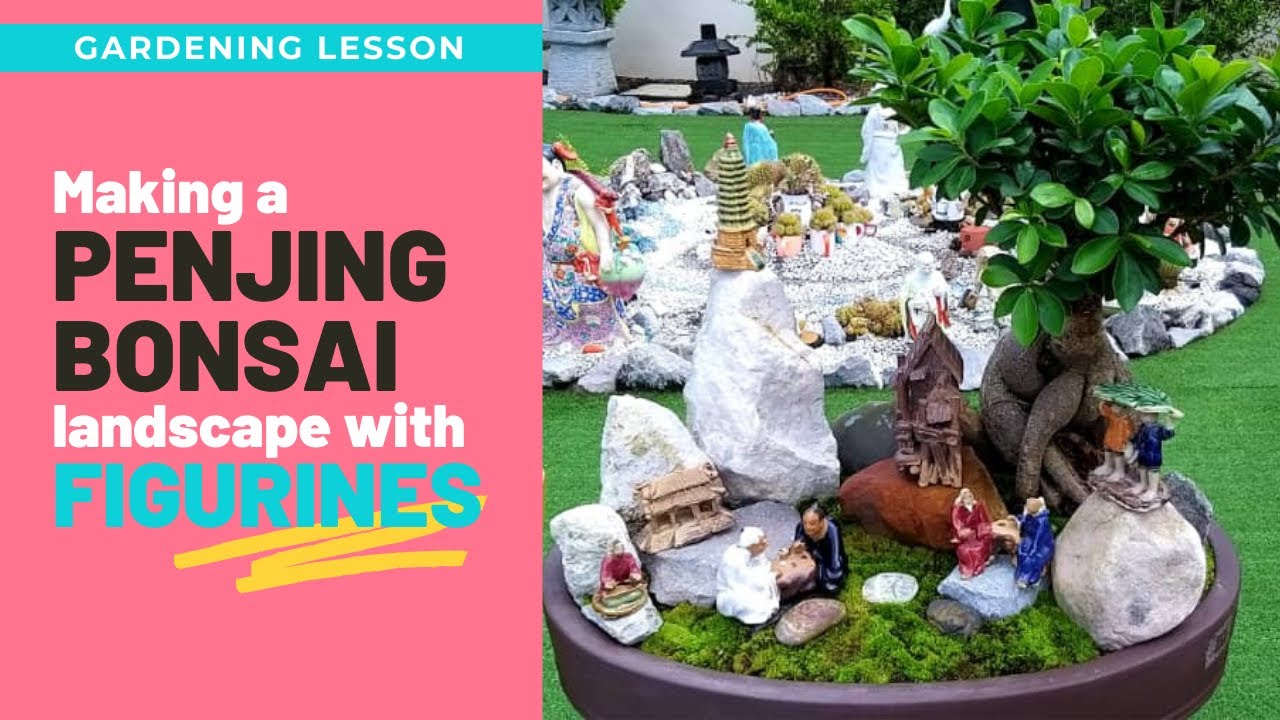 GARDENING LESSON - Making a PENJING LANDSCAPE with FICUS GINSENG BONSAI and FIGURINES